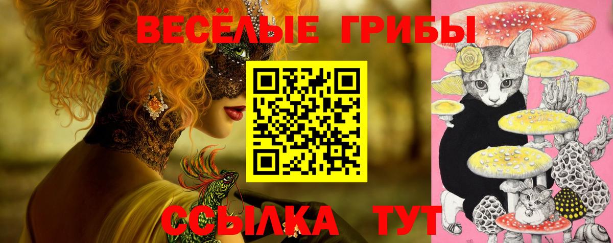 Мичуринск  Галлюциногенные грибы прущие грибы  Вход с VPN 