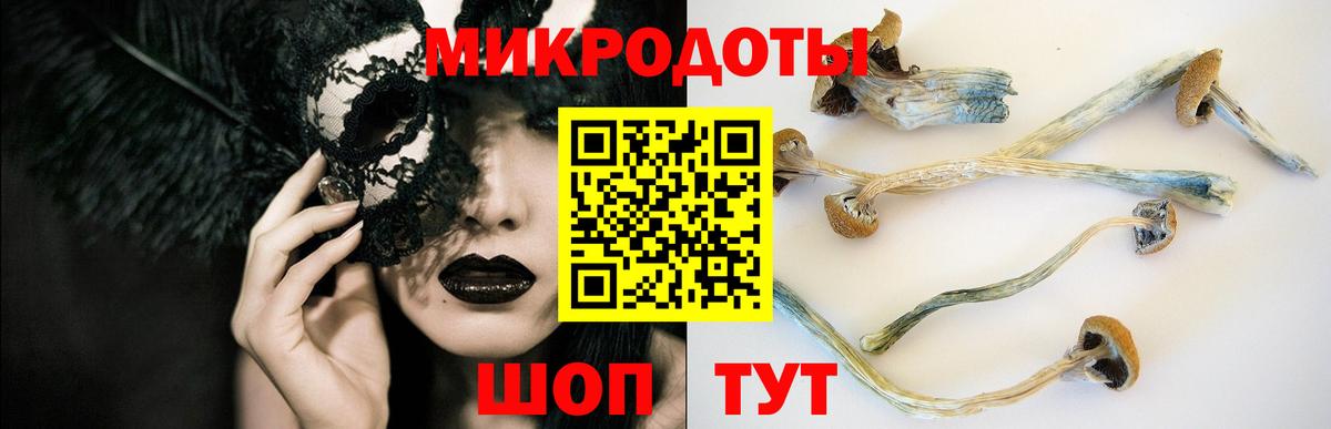 Псилоцибиновые грибы Psilocybine cubensis Мичуринск